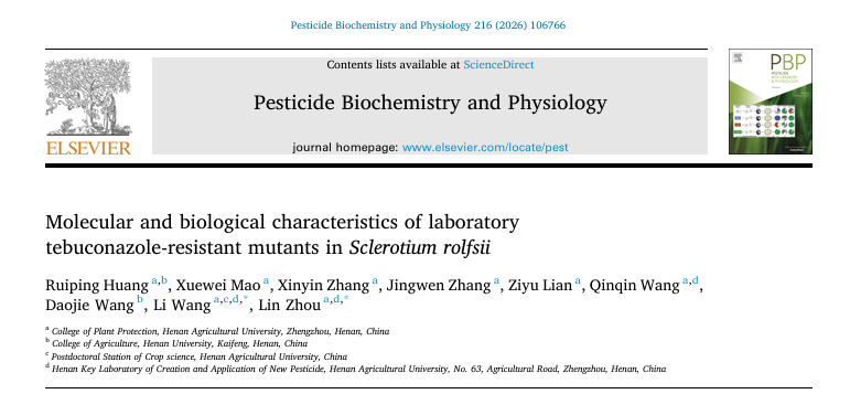 澳门新葡京娱乐城