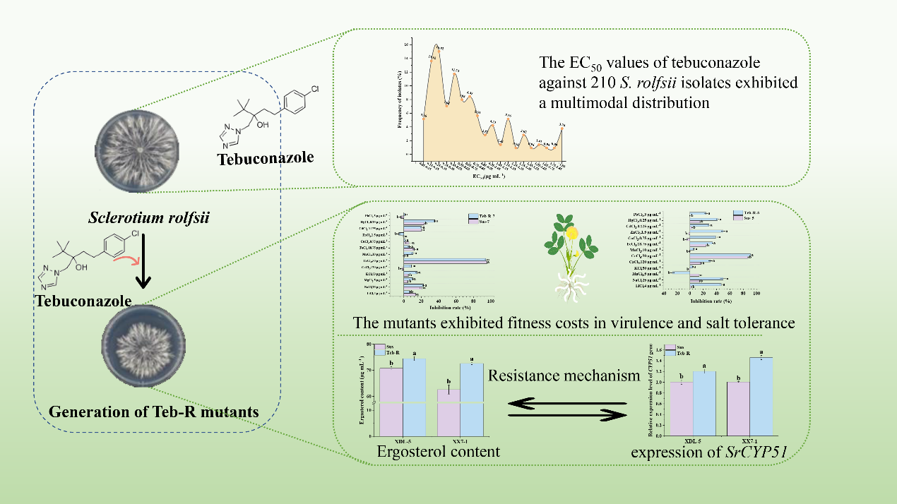 澳门新葡京娱乐城