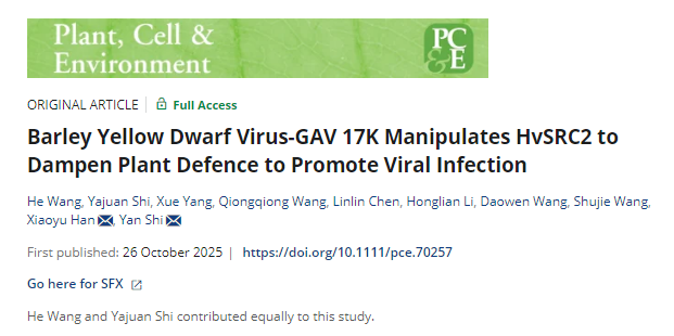 澳门新葡京娱乐城