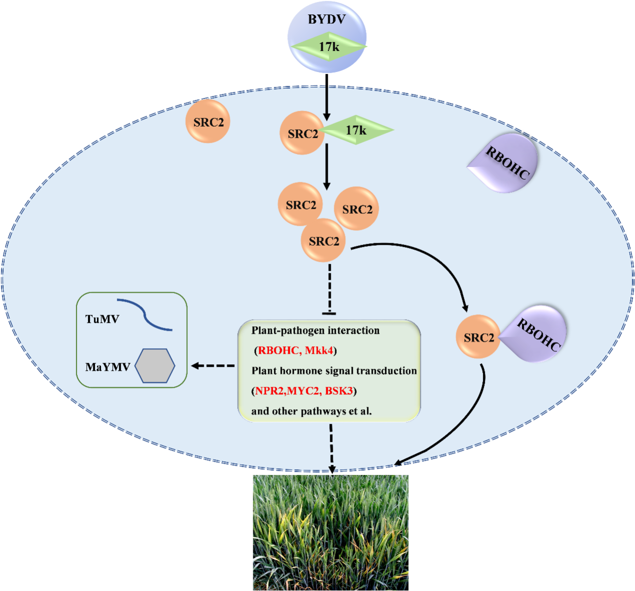 澳门新葡京娱乐城