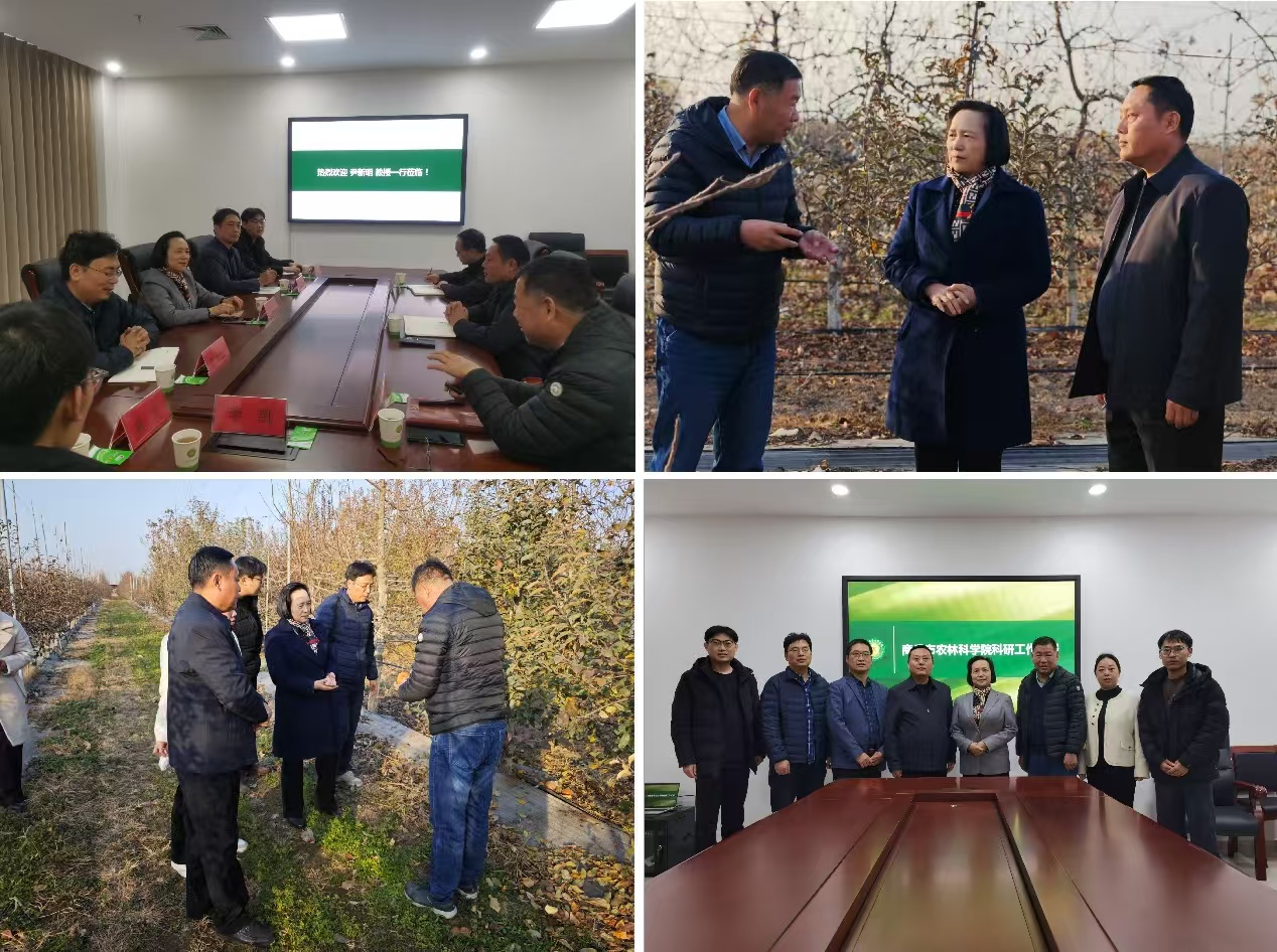 澳门新葡京娱乐城