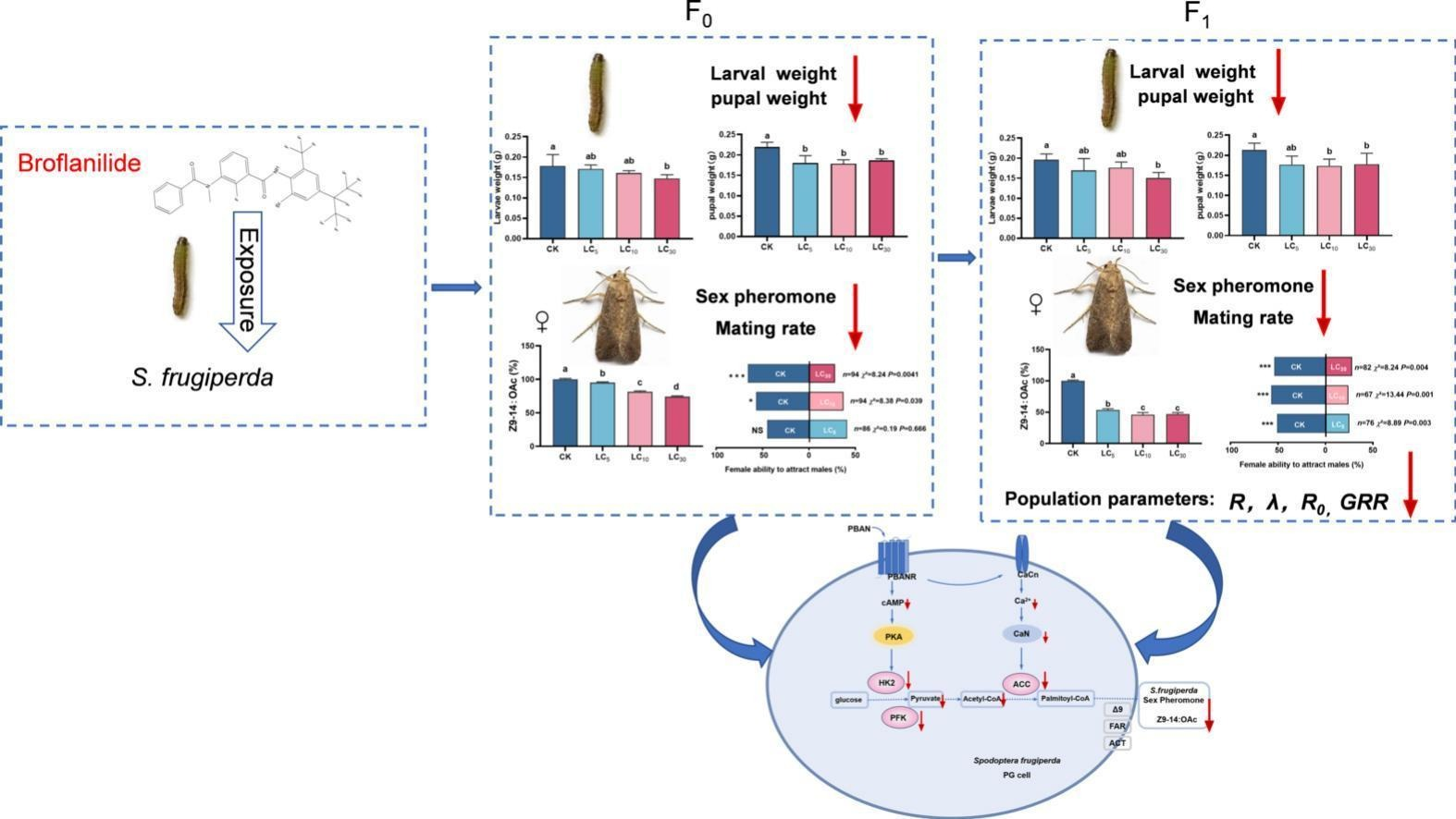 �������Ͼ����ֳ�