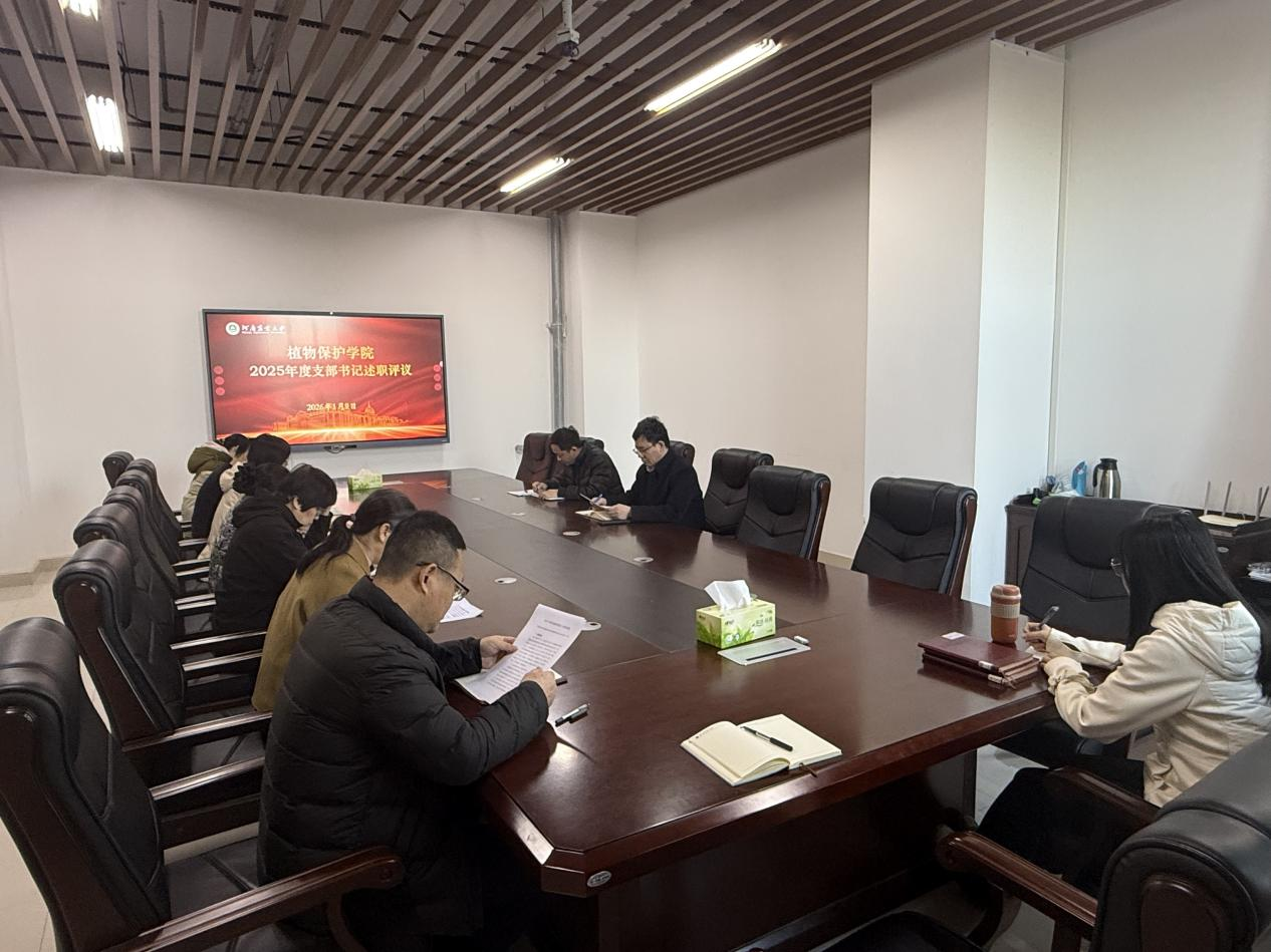 澳门新葡京娱乐城