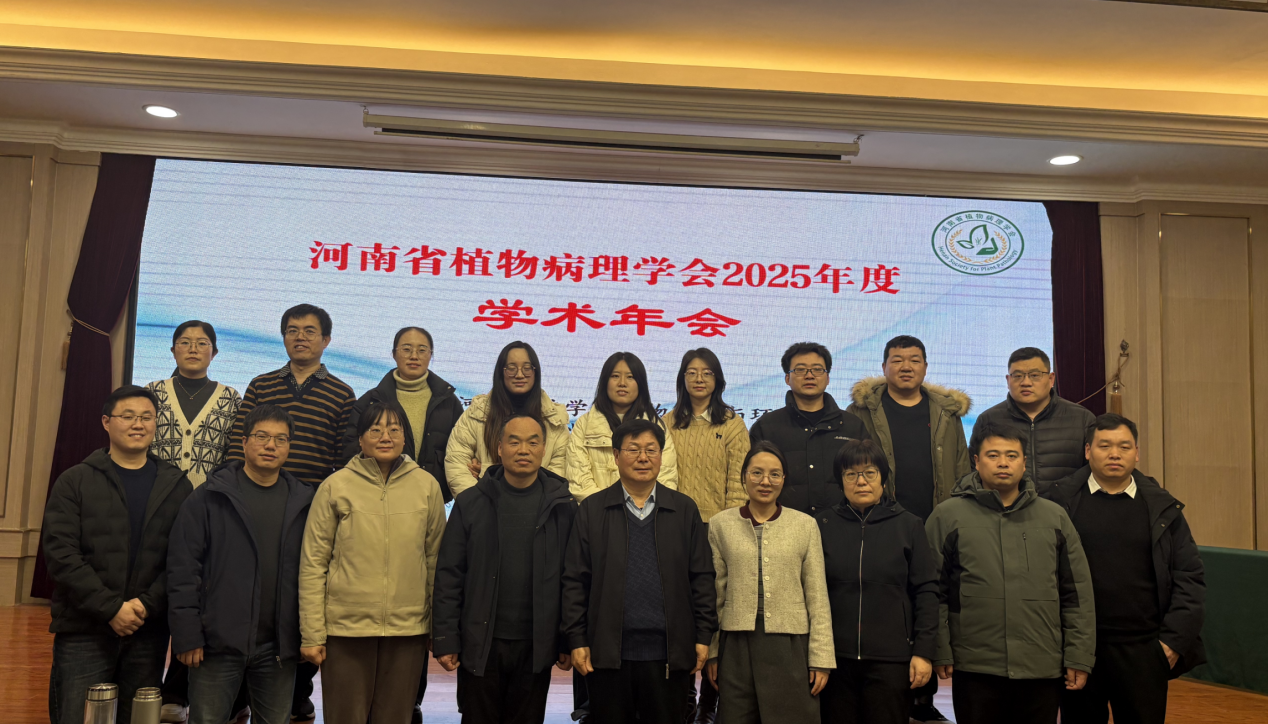 澳门新葡京娱乐城