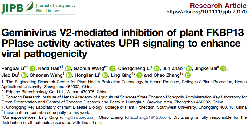 �������Ͼ����ֳ�