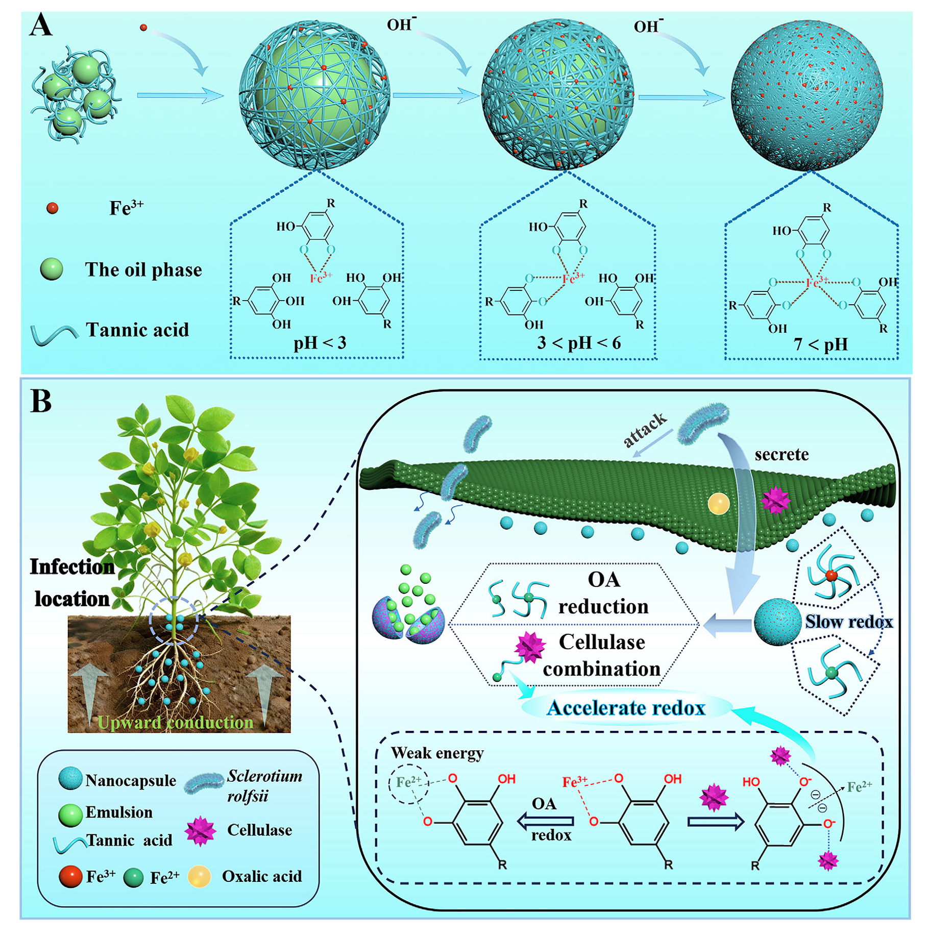 澳门新葡京娱乐城