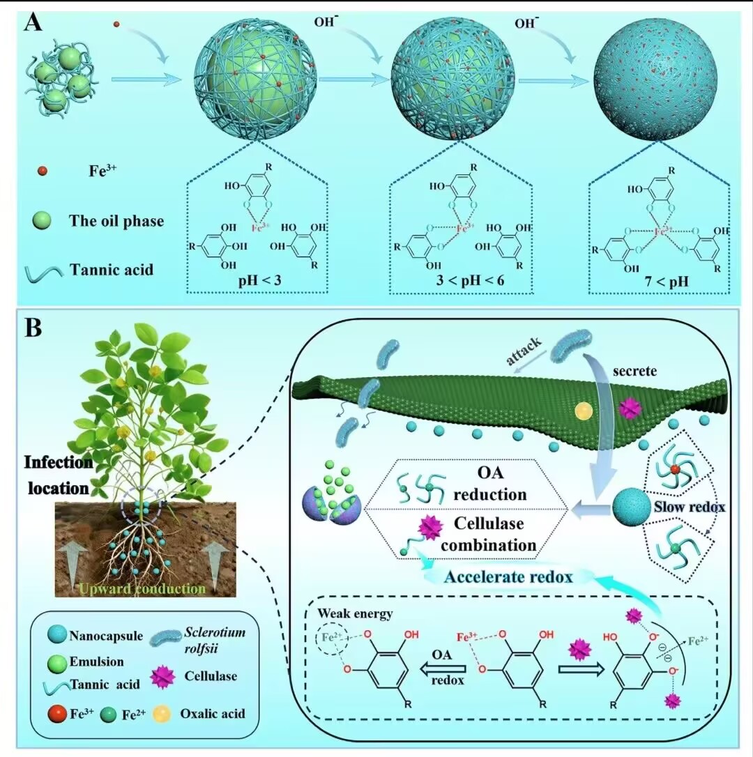 澳门新葡京娱乐城