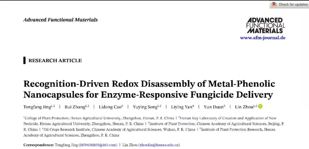 澳门新葡京娱乐城