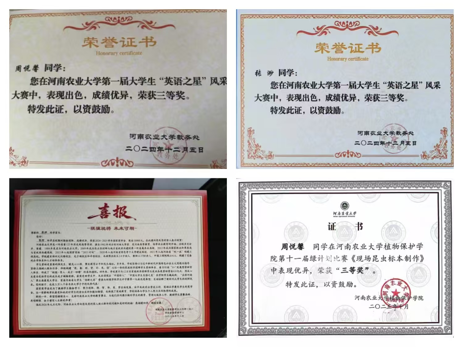 澳门新葡京娱乐城