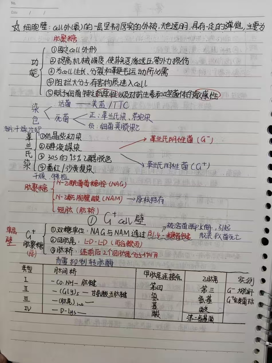 澳门新葡京娱乐城