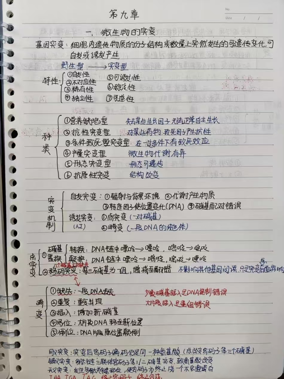 澳门新葡京娱乐城