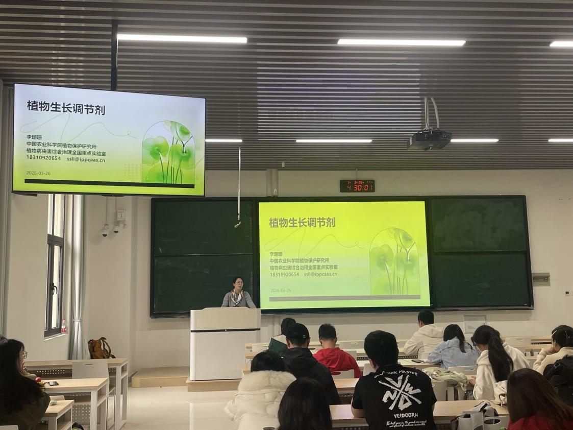 澳门新葡京娱乐城