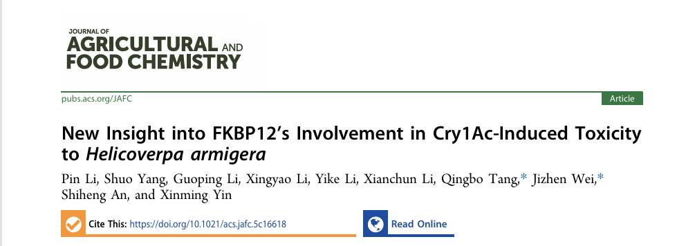 澳门新葡京娱乐城