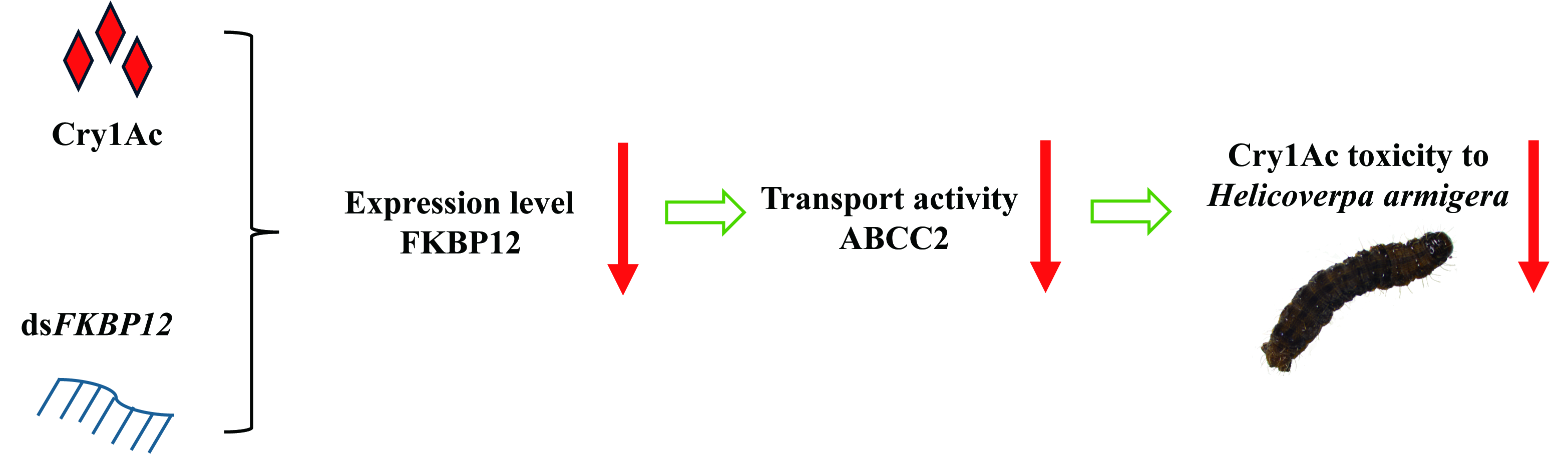 澳门新葡京娱乐城