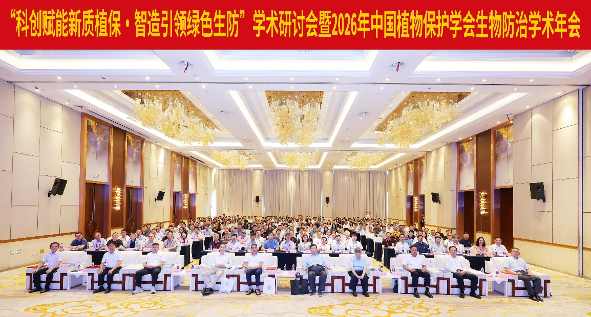 澳门新葡京娱乐城